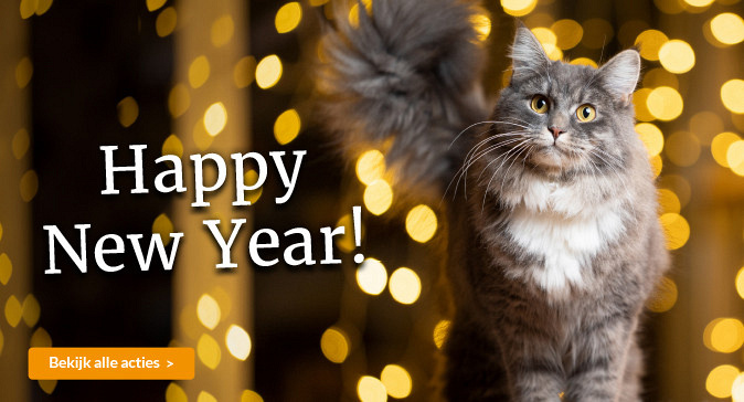 slider happy new year 674x364