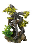 Aqua D'ella twistbonsai