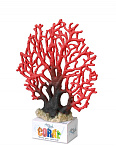 Aqua D'ella coral-module XL lace coral