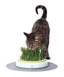 Catit Design Senses Navulling Gras-Kit 2 st