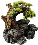 Aqua D'ella bonsai S/M