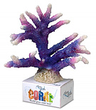 Aqua D'ella coral-module L staghorn coral purple