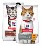 Hill's Kat Droogvoer t/m 6 kg