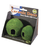 SuperFish Fish Home met mos 2 st