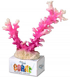 Aqua D'ella coral-module L staghorn coral pink/white