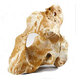 Aqua D'ella combo fellas M