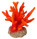 Aqua D'ella coral seriatopora orange