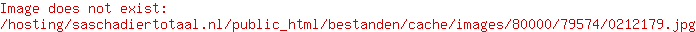 Hondenfietskar Runner 2 Lichtgrijs/Anthraciet