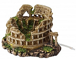Aqua D'ella colosseum M/L