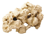 Aqua D'ella combo see XXL