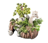 Aqua D'ella Chinagarden M/L