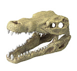 Aqua D'ella crocodile head M
