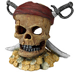 Aqua D'ella pirate skull sword head