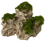 Aqua D'ella moss rock 2