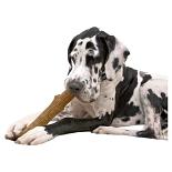 Petstages Durable Stick Large