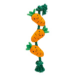 Beeztees Hondenspeelgoed Flostouw Wortel