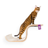 Petrebels Wall of Rebels Scratch 70 Rusty Oak