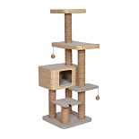 EBI Krabpaal Palawan Bruin