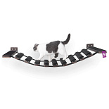 Petrebels Wall of Rebels Bridge 140 Wengé