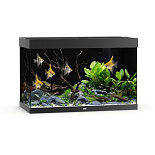 Juwel Aquarium Rio 290 LED met Filter Zwart