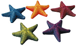 Aqua D'ella star fish assorti