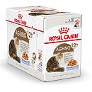 Royal Canin kattenvoer Ageing 12+ in Jelly <br>12 x 85 gr