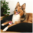 D&D Hondenspeelgoed Luca Rosewood