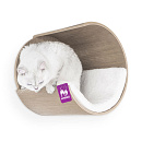 Petrebels Wall of Rebels Moon 40<br> Old Grey