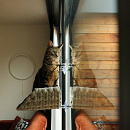 D&D Vensterbed Sofia Lichtgrijs