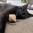 D&D Kattenspeelgoed Yori Assorti