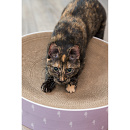 TRIXIE krabmand Lilly catnip lila