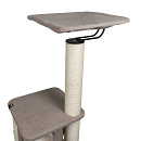 EBI Krabpaal Okinawa Bruin