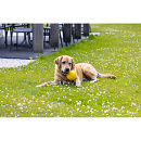 Beeztees Hondenspeelgoed Apportino Bal Geel
