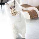 D&D I Love Happy Cats Kattenspeelgoed Miles