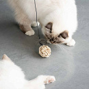 D&D I Love Happy Cats Kattenspeelgoed Miles