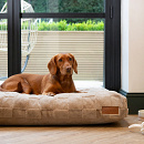 Scruffs Orthopedisch Hondenmatras Oxford Tan
