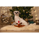 Beeztees Hondenspeelgoed Kerst Knuffeldoek Rendier