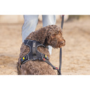 Beeztees Y-Hondentuig Parinca Supreme Zwart