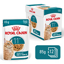Royal Canin Kattenvoer Ageing 11+ in Jelly <br>12 x 85 gr