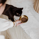 District 70 Voer- en Drinkbak Royal Gold