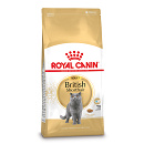 Royal Canin Kattenvoer British Shorthair Adult <br>4 kg