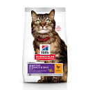 Hill's Science Plan Adult Sensitive Stomach & Skin kip 300 gr