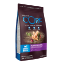 Wellness CORE hondenvoer Large Breed Puppy 2,75 kg