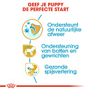 Royal Canin Hondenvoer Dachshund Puppy 1,5 kg