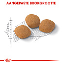 Royal Canin Kattenvoer Protein Exigent 2 kg