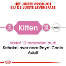 Royal Canin Kattenvoer Kitten 10 kg