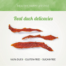 Antos Chicken D'Light Duck 100 gr