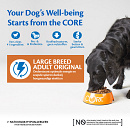 Wellness CORE hondenvoer Large Breed Adult 10 kg