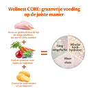 Wellness CORE hondenvoer Large Breed Puppy 2,75 kg