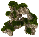 Aqua D'ella moss rock 1
